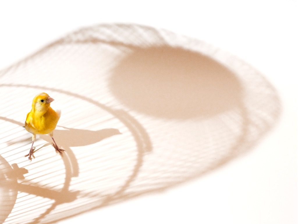 Ditch Your Debtors