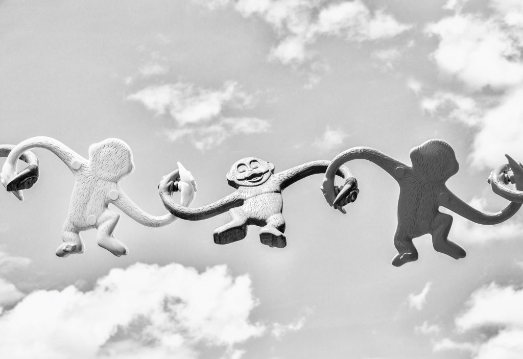Staying Connected is not Monkey Business